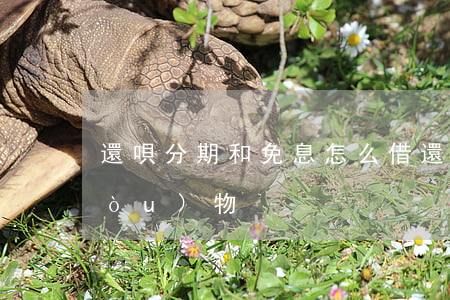 還唄分期和免息怎么借 還唄如何分期購(gòu)物