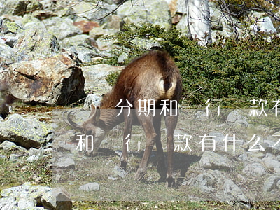 還唄分期和銀行還款有什么不同-還唄分期和銀行還款有什么不同嗎