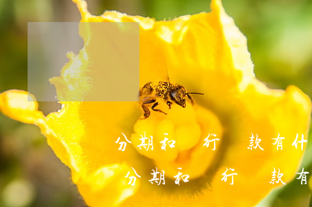 還唄分期和銀行還款有什么區(qū)別-還唄分期和銀行還款有什么區(qū)別嗎