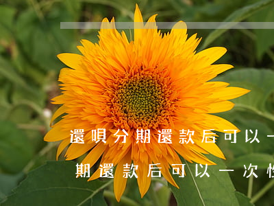 還唄分期還款后可以一次性還完嗎-還唄分期還款后可以一次性還完嗎安全嗎