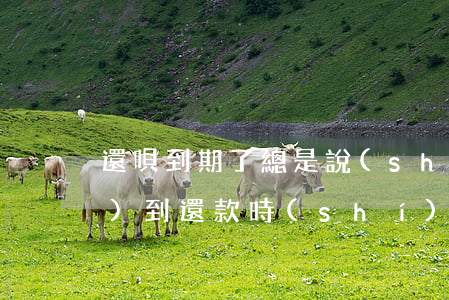 還唄到期了總是說(shuō)沒(méi)到還款時(shí)間-