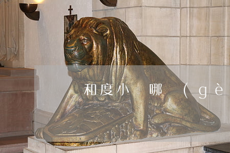 還唄和度小滿哪個(gè)好(還唄跟度小滿)