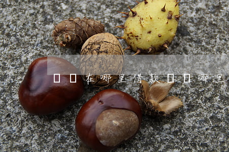 還唄在哪里借款(還唄哪里借錢)