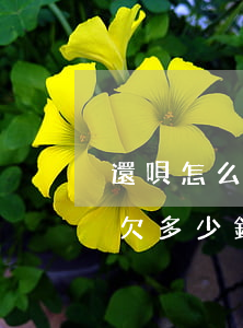 還唄怎么看不到總共欠多少錢(怎么看還唄還欠多少錢)