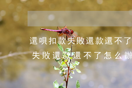 還唄扣款失敗還款還不了怎么辦-還唄扣款失敗還款還不了怎么辦呢