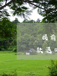還唄提前還款退回的利息在哪里-還唄提前還款退回的利息在哪里看