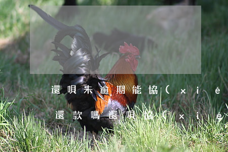 還唄未逾期能協(xié)調(diào)還款嗎(還唄協(xié)商還款終于成功了)