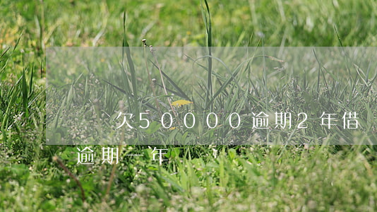 還唄欠50000逾期2年(借唄欠4000逾期一年)