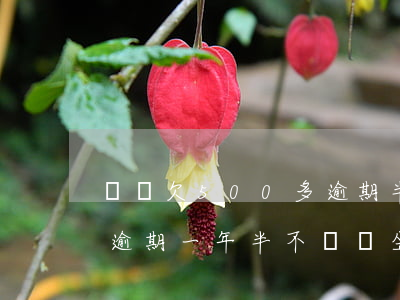 還唄欠500多逾期半年(借唄欠款5000逾期一年半不還會坐牢嗎)