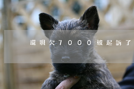 還唄欠7000被起訴了怎么辦-
