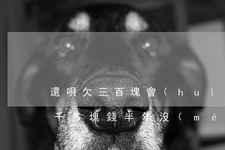 還唄欠三百塊會(huì)怎么樣(欠還唄三千多塊錢半年沒(méi)還,說(shuō)早上門,會(huì)上門嗎)