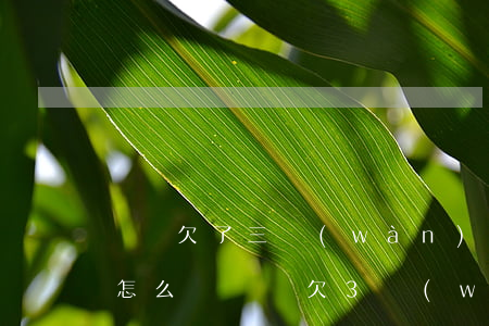 還唄欠了三萬(wàn)不還會(huì)怎么樣(還唄欠3萬(wàn)沒(méi)有還會(huì)怎么樣)