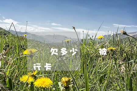 還唄欠多少錢會被凍結銀行卡(還唄會凍結銀行卡嗎)