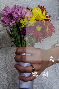 還唄欠款逾期對公賬號轉賬可以嗎(還唄欠款逾期對公賬號轉賬可以嗎)