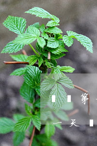 還唄第一天逾期就不停打電話嗎-還唄逾期一天,說(shuō)第二天要聯(lián)系家人