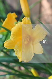 還唄能還逾期信用卡嗎 還唄可以還信用卡嗎