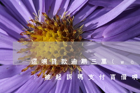 還唄貸款逾期三萬(wàn)的會(huì)被起訴嗎 支付寶借唄逾期3萬(wàn)塊錢3個(gè)月會(huì)被起訴嗎