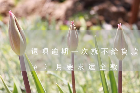 還唄逾期一次就不給貸款(借唄逾期一個(gè)月要求還全款)