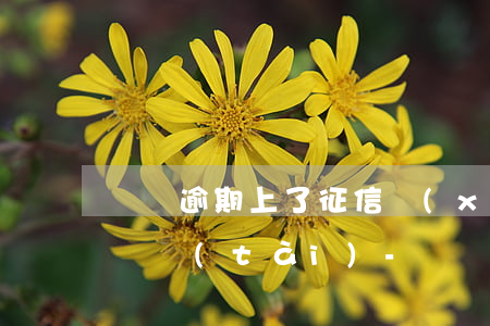 還唄逾期上了征信現(xiàn)在是呆賬狀態(tài)-還唄逾期后賬單什么的都沒了,怎么回事