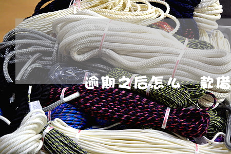 還唄逾期之后怎么還款(借唄逾期怎么還款?)