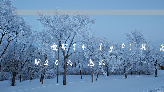 還唄逾期了半個(gè)月會怎么樣 還唄逾期20天會怎么樣