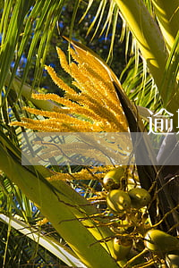 還唄逾期了怎么還款嗎(借唄逾期怎么還款?)