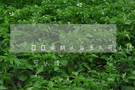 還唄逾期以后多久可以借(還唄逾期以后多久可以借)