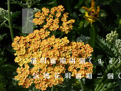 還唄逾期兩個(gè)月會(huì)被起訴嗎(花唄逾期二個(gè)月沒(méi)還,會(huì)遭到起訴嗎)