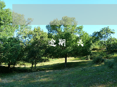 還唄逾期兩天