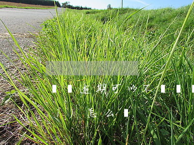 還唄逾期可以不還嗎(還唄逾期沒還會(huì)怎么樣)