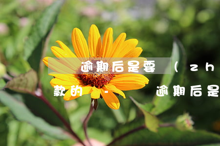 還唄逾期后是要轉(zhuǎn)賬對公還款的嗎-還唄逾期后是要轉(zhuǎn)賬對公還款的嗎怎么辦