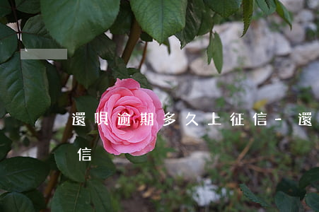 還唄逾期多久上征信-還唄多久不還會上征信