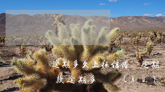還唄逾期多久上征信?借唄逾期幾天上征信（還唄還款逾期多長會(huì)上征信）