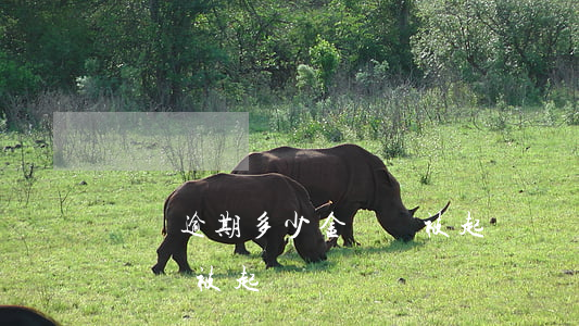 還唄逾期多少金額會被起訴(還唄逾期多少金額會被起訴)