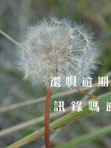 還唄逾期幾天爆通訊錄怎么辦(還唄逾期爆通訊錄嗎?逾期將面臨哪些后果?)