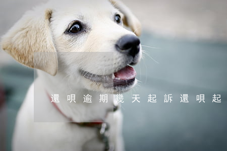 還唄逾期幾天起訴(還唄起訴我要多久)