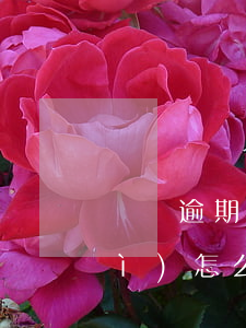 還唄逾期很難還款嗎(還唄逾期兩年會(huì)怎么樣)