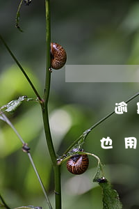 還唄逾期微粒貸可以用嗎(支付寶逾期了微粒貸也用不了嗎?)