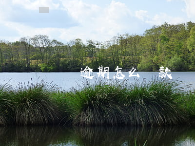 還唄逾期怎么還款嗎