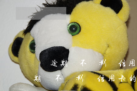 還唄逾期會不會影響信用卡的使用-還唄逾期會不會影響信用卡的使用額度