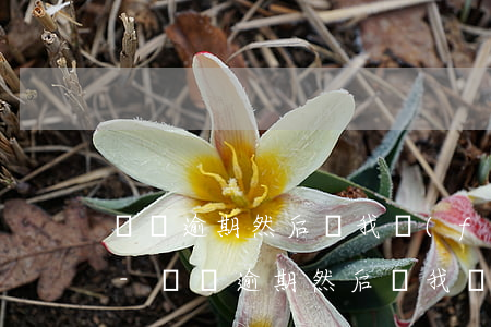 還唄逾期然后給我發(fā)信息說收信件-還唄逾期然后給我發(fā)信息說收信件是真的嗎