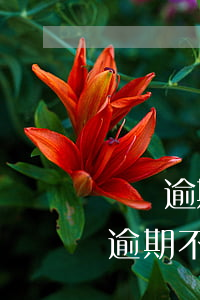 還唄逾期花唄會(huì)怎么樣(還唄一直逾期不還會(huì)怎么樣)