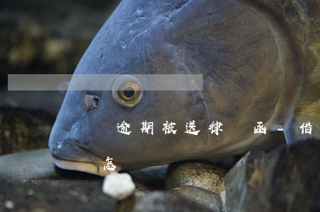 還唄逾期被送律師函-借唄逾期律師函送達會怎樣