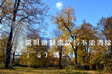 還唄逾期還款后不能清除數(shù)據(jù)嗎-