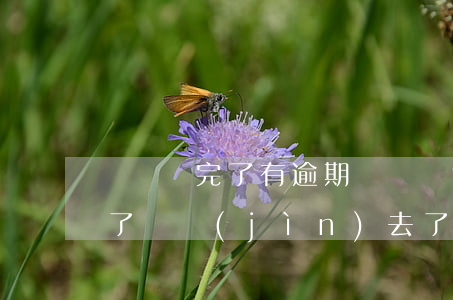 還唄還完了有逾期記錄還能借么-還唄逾期了還進(jìn)去了可以再借出來(lái)嗎?