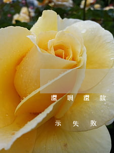 還唄還款失敗有逾期嗎(還唄晚上還款一直顯示失敗)