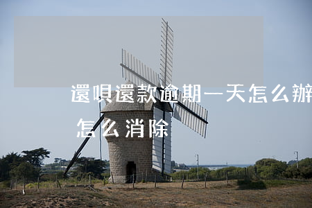 還唄還款逾期一天怎么辦(借唄逾期一天還款怎么消除)