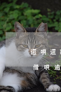 還唄還款逾期了會(huì)怎么樣(支付寶借唄逾期還款會(huì)怎么樣)