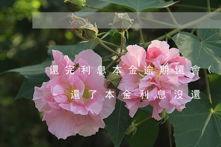 還完利息本金逾期還會(huì)生利息嗎-還了本金利息沒還