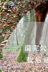還完欠款后征信上的逾期都解除嗎-還完欠款后征信上的逾期都解除嗎怎么辦